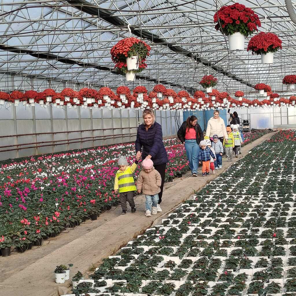 Garden Store - Sere Rediu-Aldei