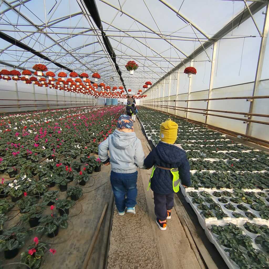 Garden Store - Sere Rediu-Aldei