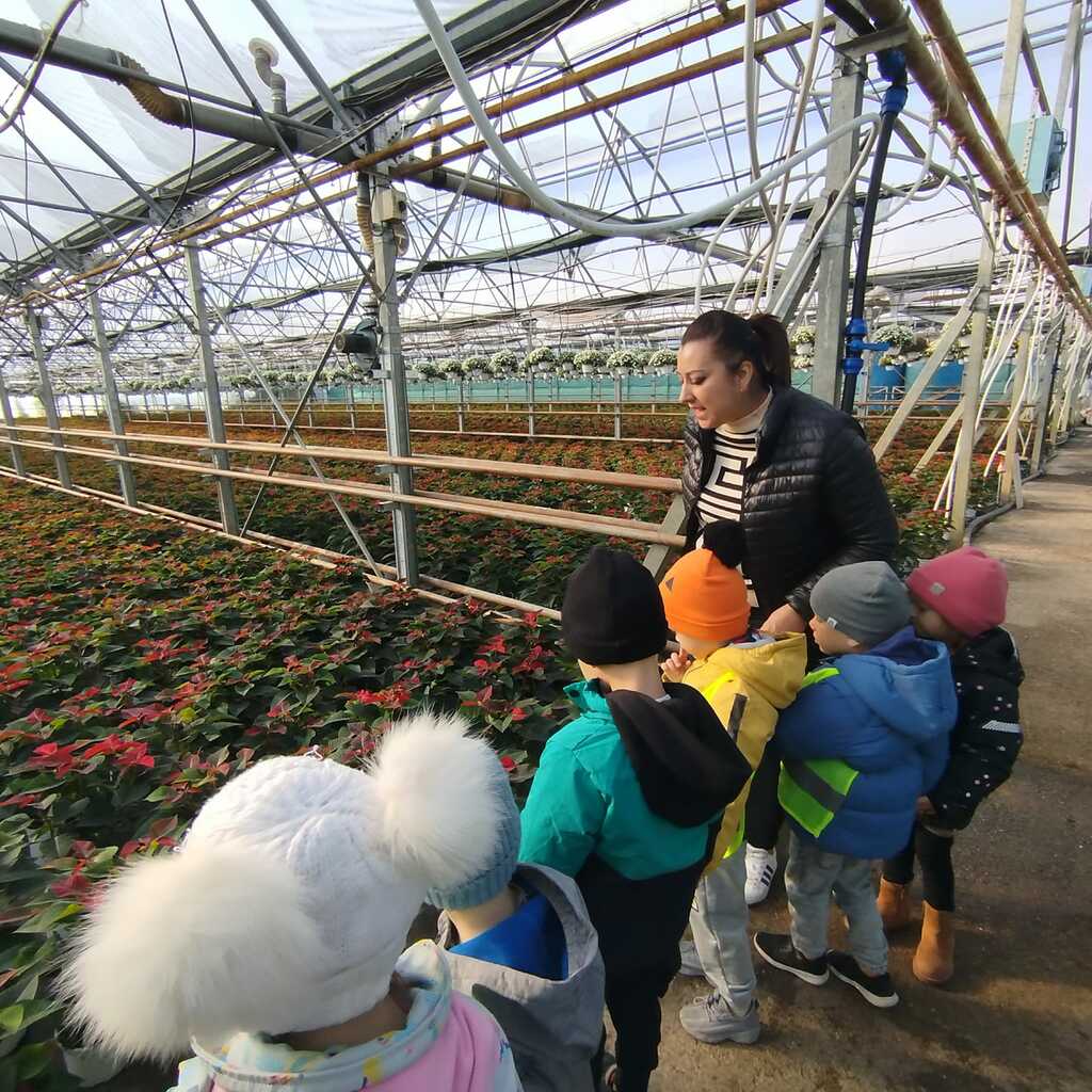 Garden Store - Sere Rediu-Aldei